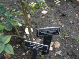 image of grave number 101712
